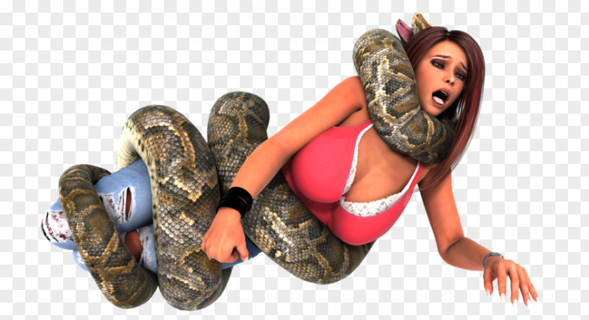 Snake The Bully-Free Workplace: Stop Jerks, Weasels, And Snakes From Killing Your Organization Constriction Anaconda Reticulated Python PNG