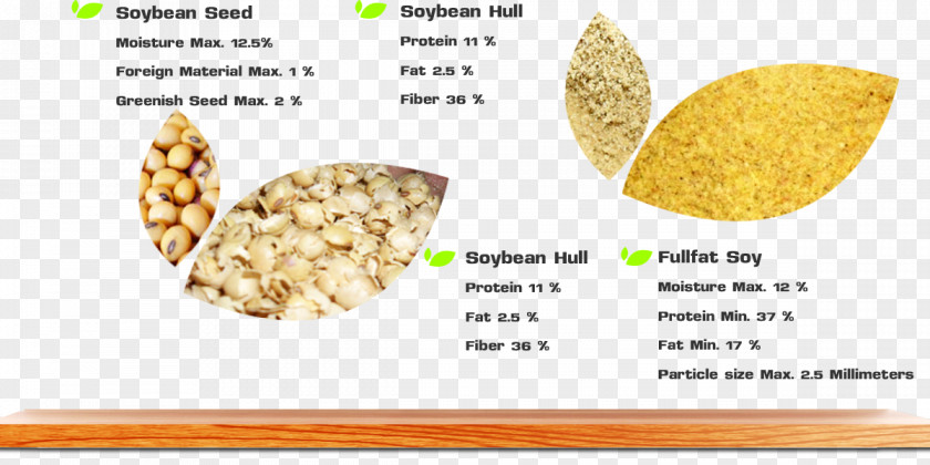 Soy Bean Seed Vegetarian Cuisine Commodity Superfood Fruit PNG