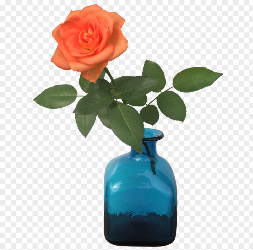 Vase Garden Roses Flower Image Vector Graphics PNG