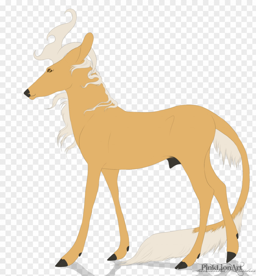 Deer Canidae Dog Antelope Mammal PNG