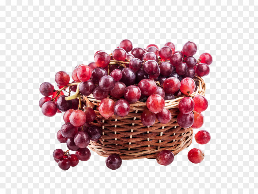 Grape Vitis Labrusca Common Vine Basket Fruit PNG