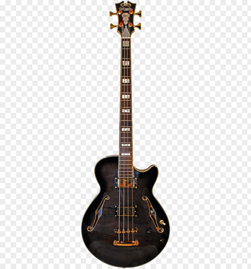 Guitar Gibson Les Paul Special Brands, Inc. Custom Bass PNG