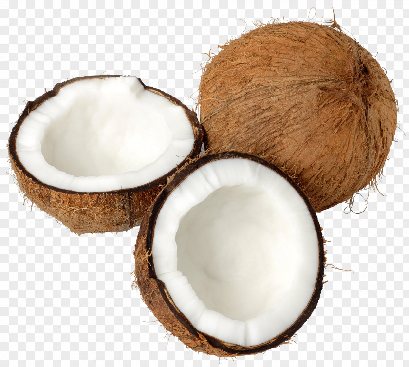 Coconuts Image PNG