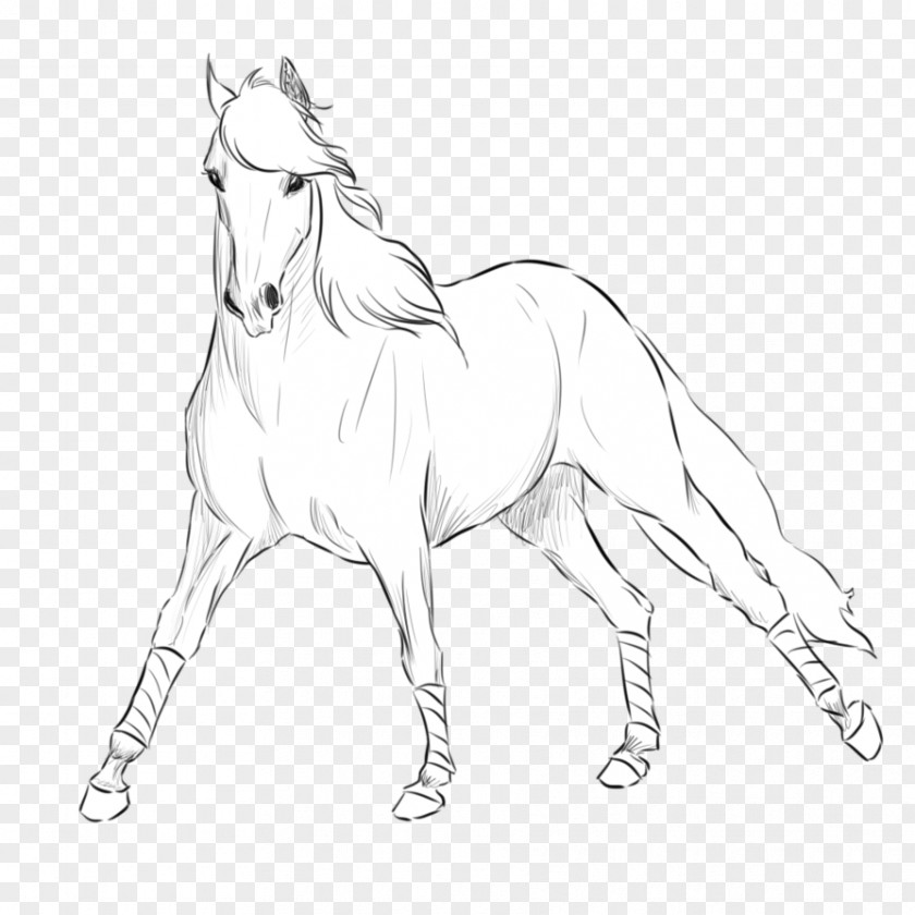 Mustang Andalusian Horse Mane Shire Stallion PNG