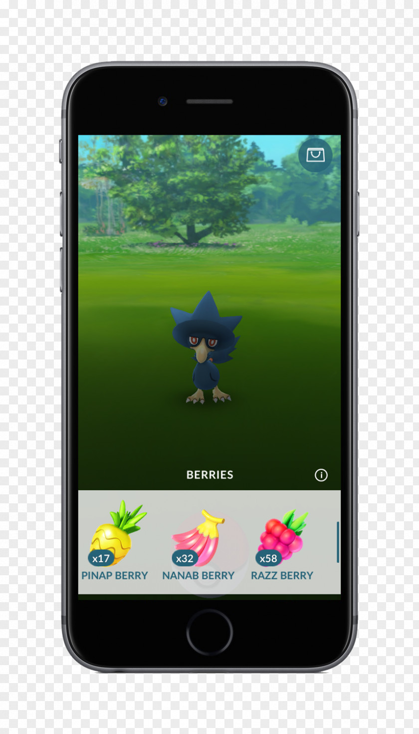 Pokemon Go Pokémon GO Johto Kanto Berry PNG