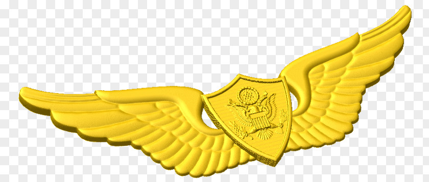 Army Astronaut Badge Combat Infantryman Expert PNG