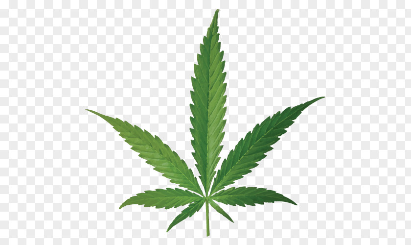 Cannabis Smoking Joint Leaf Bud PNG