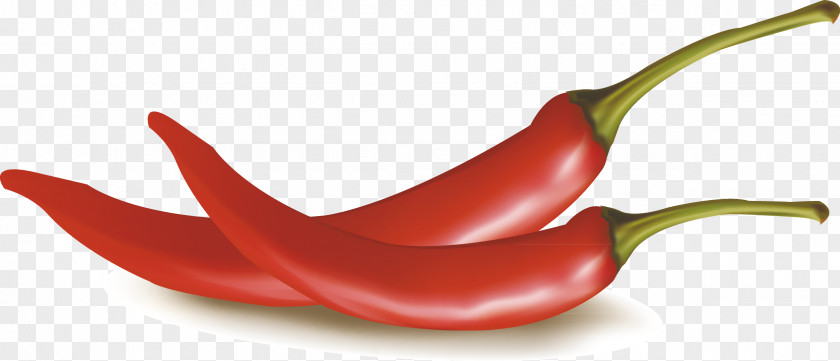 Chili Decorative Design Exquisite Pepper Drawing PNG