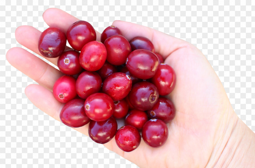 Hand With Cranberries Cranberry Juice Frutti Di Bosco PNG