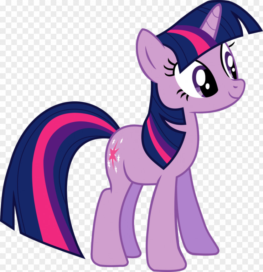 Sparkling Twilight Sparkle Pony Rainbow Dash Rarity Pinkie Pie PNG