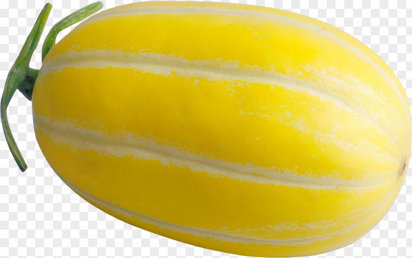 Yellow Melon Honeydew Cucumber Cucurbita PNG