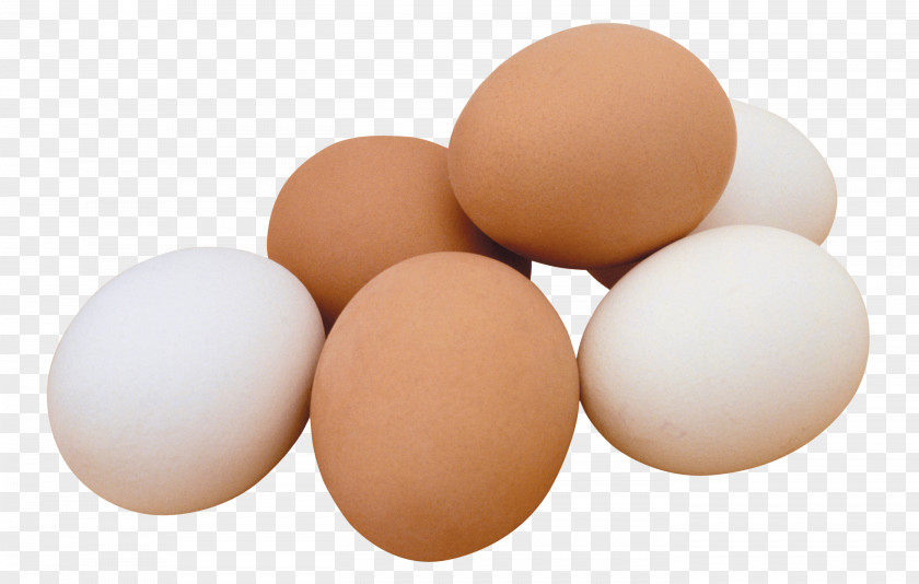 Eggs PNG Eggs, six organic eggs clipart PNG