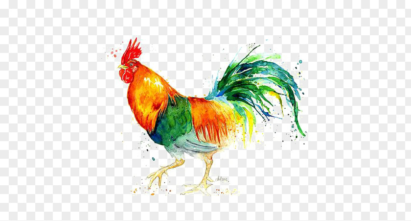 Cock Chicken Painting Rooster Illustration PNG