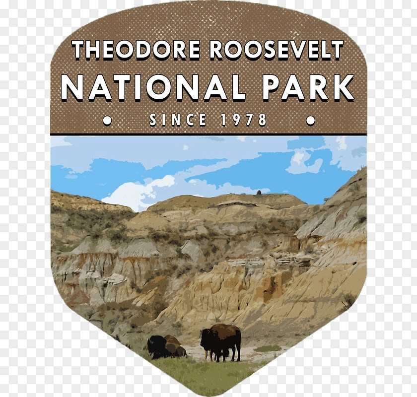 Park Theodore Roosevelt National Petrified Forest North Cascades Mammoth Cave Badlands PNG