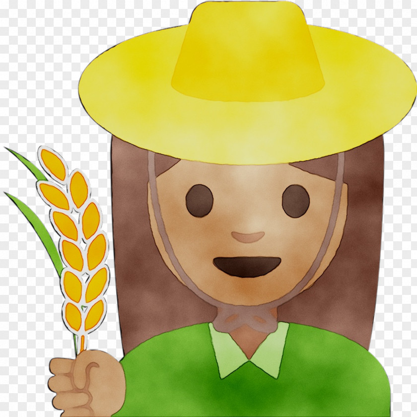 Sombrero Cowboy Hat Illustration PNG