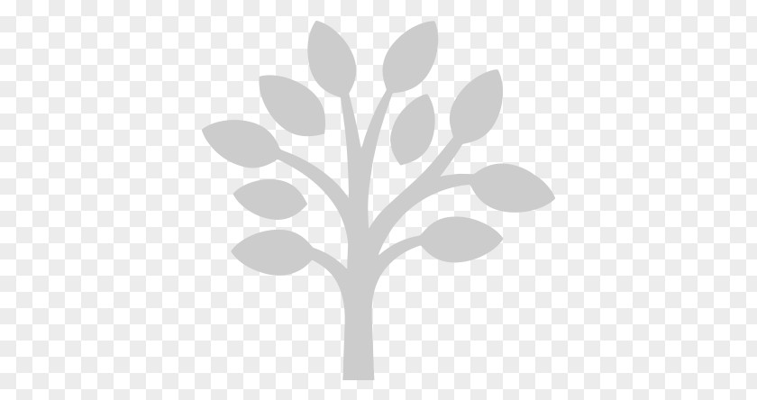 Tree Royalty-free PNG