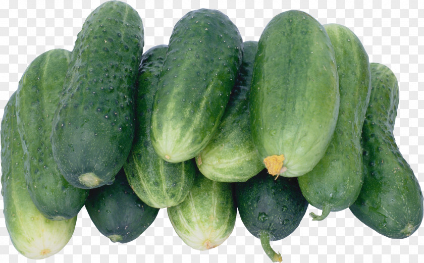 Cucumber Pickled Cultivar Vegetable Brined Pickles PNG