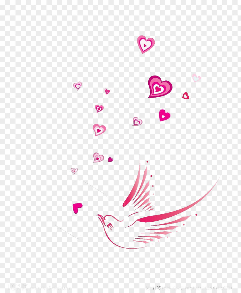 Love Birds Floating Material Homing Pigeon Bird Heart PNG