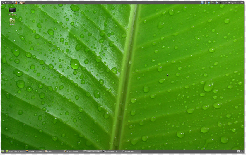 Mint Desktop Wallpaper Leaf Green 1080p High-definition Television PNG