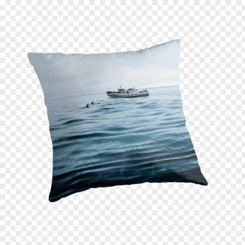 Nature Sea Animals Dolphin Throw Pillows Cushion PNG