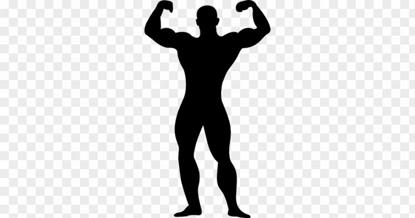 Silhouette Muscle Drawing Clip Art PNG
