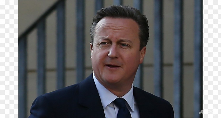 Anti-corruption David Cameron Conservative Party Political Corruption Electoral Fraud PNG