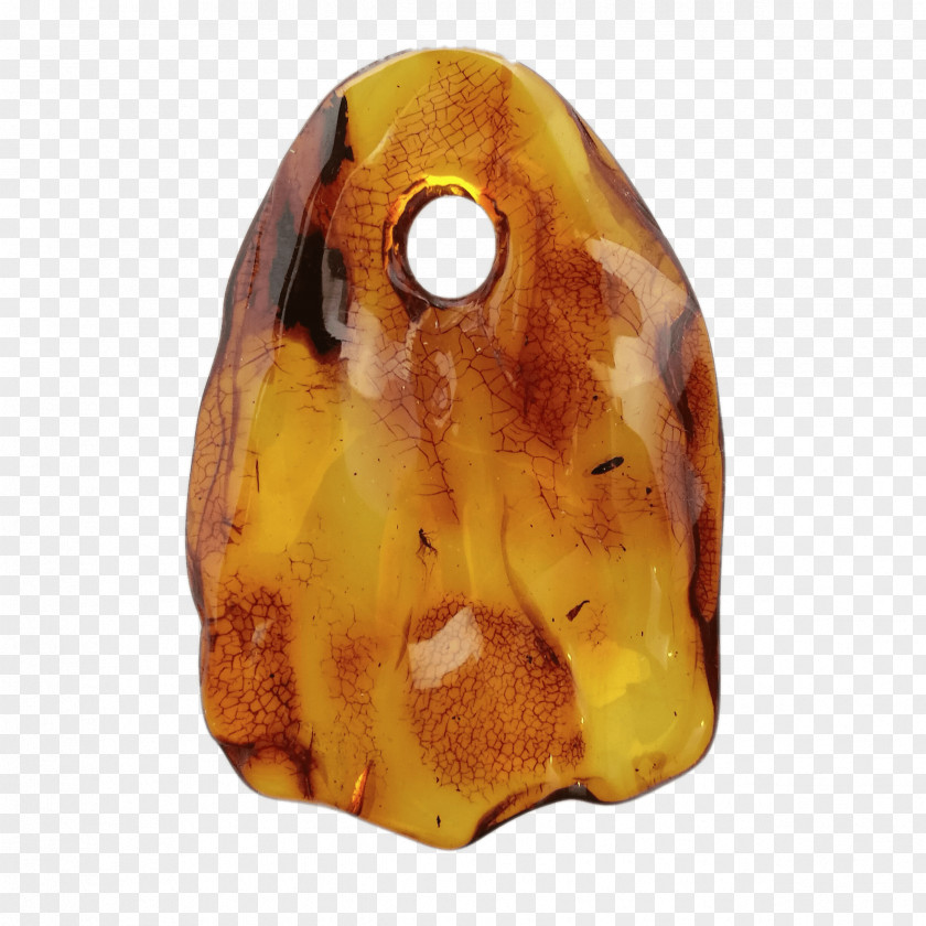 Jewellery Baltic Amber Charms & Pendants Fossil PNG