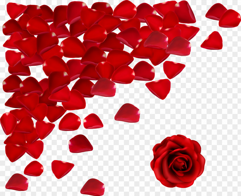 Flower Petals Valentine's Day Love Happiness Propose Wish PNG