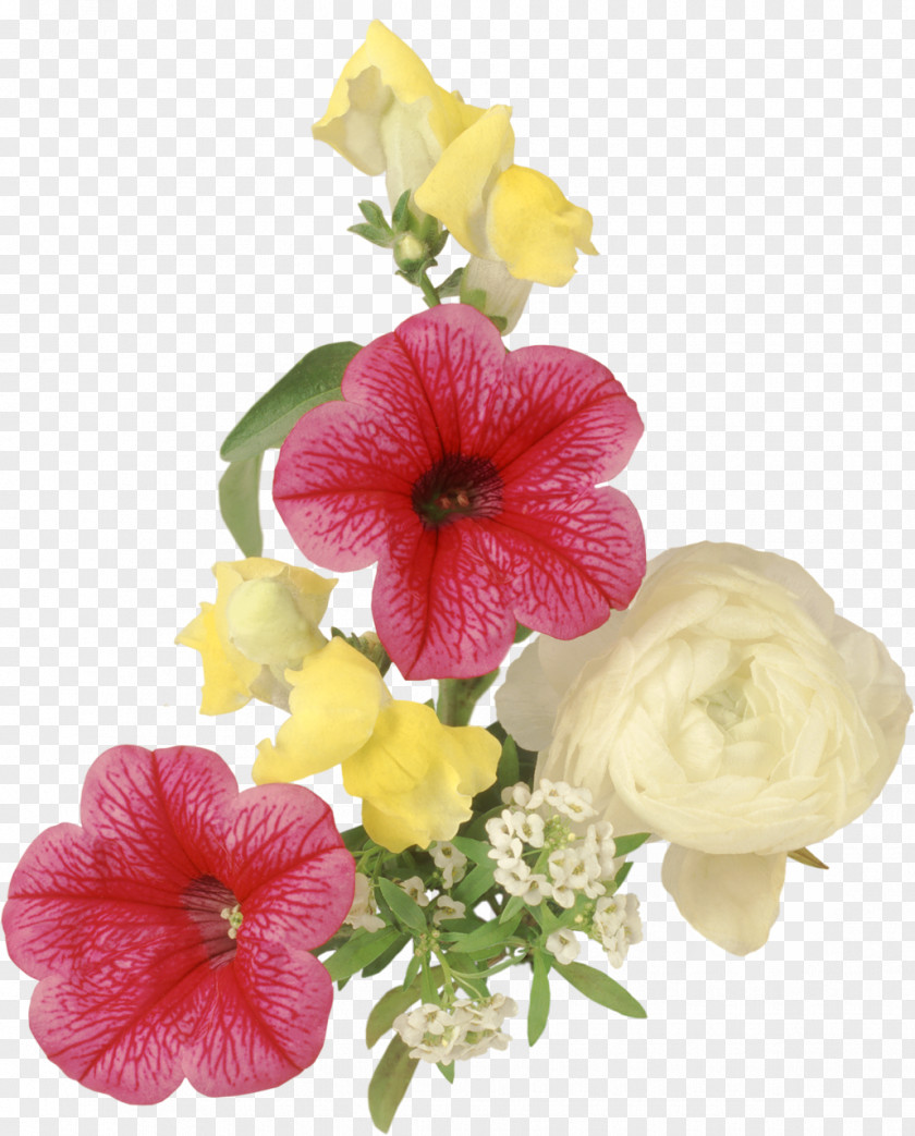 White Flower Floral Design Albom PNG