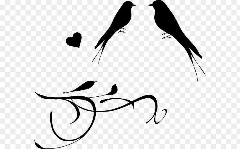 Bird Branches Station Lovebird Wedding Drawing Clip Art PNG