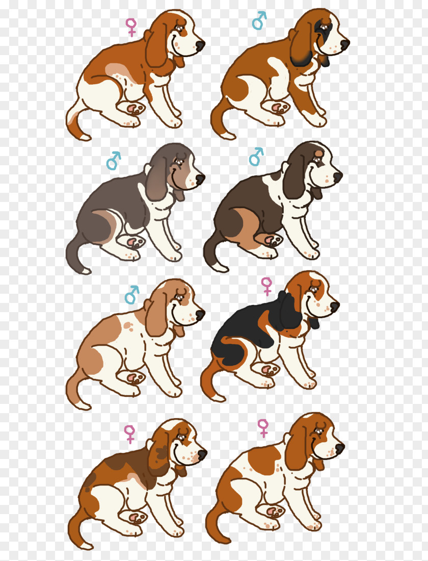 Puppy Beagle Dog Breed Cat Illustration PNG