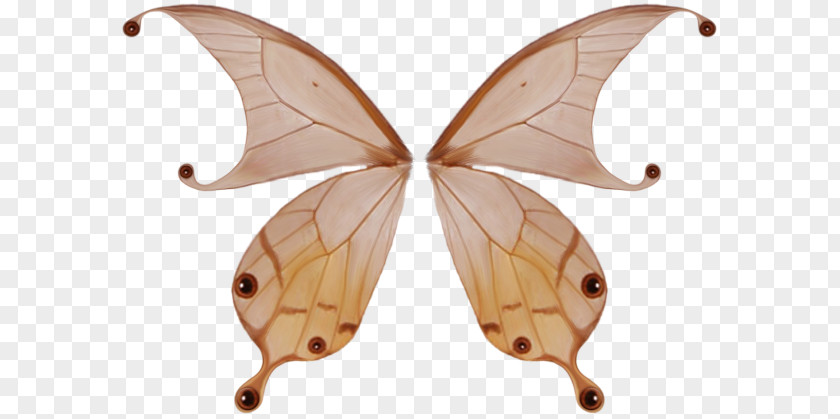 Decorative Butterfly Wings Wing PNG