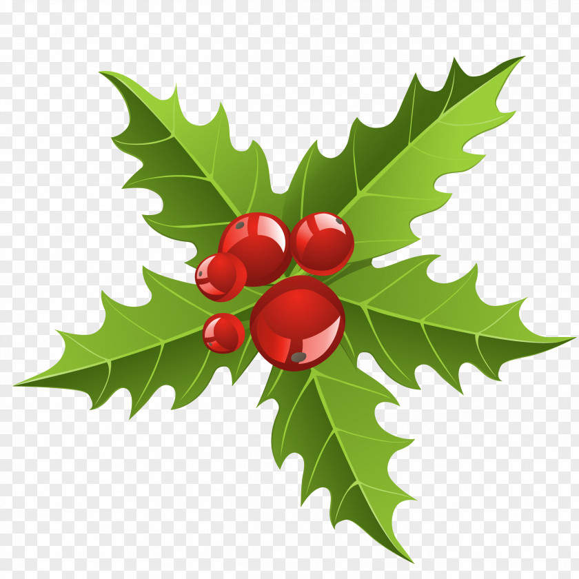 Element Cliparts Christmas Decoration Mistletoe Clip Art PNG