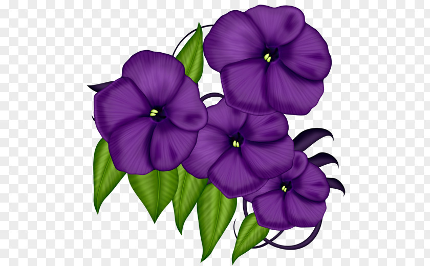 Flower Petal Violet Clip Art PNG