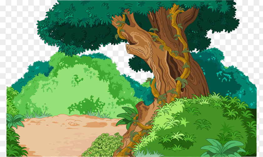 Green Tree Tropical And Subtropical Moist Broadleaf Forests Rainforest Tropics Illustration PNG