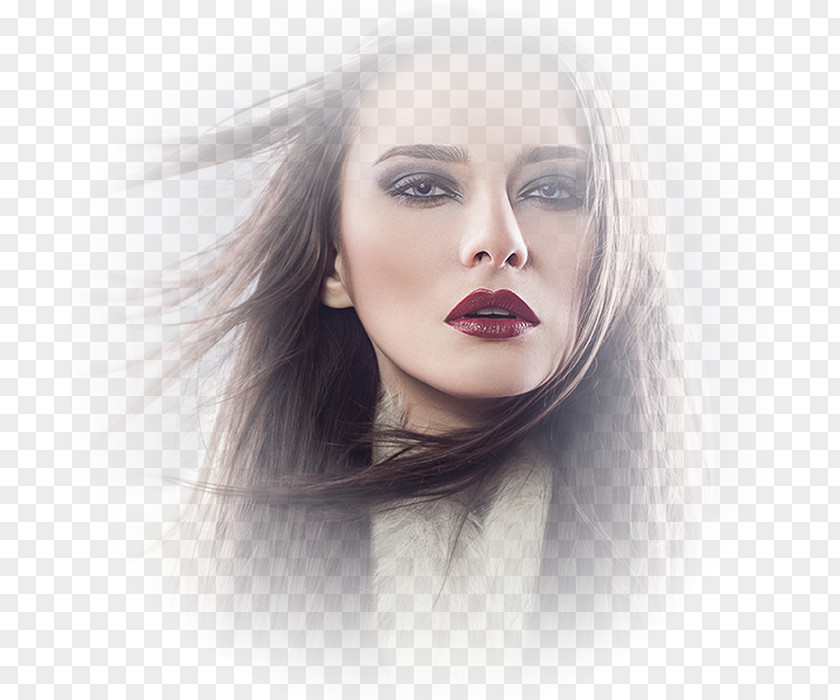 Hair Human Color Beauty Brown PNG