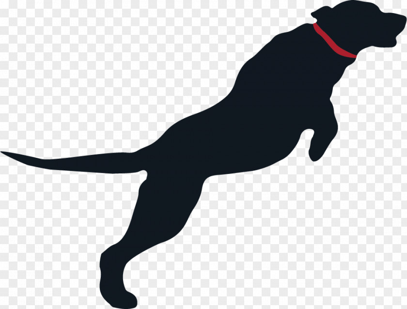 Puppy Dog Breed Sporting Group Leash PNG