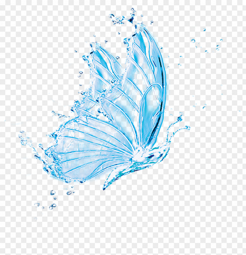 Beautiful Butterfly Water Dance Singles Download PNG