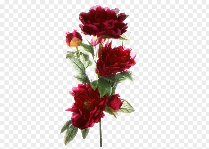 Fleur De Pivoine Garden Roses Peony Cut Flowers Floral Design PNG