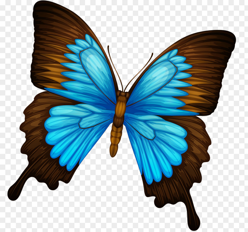 Butterfly Stock Photography Royalty-free Clip Art PNG