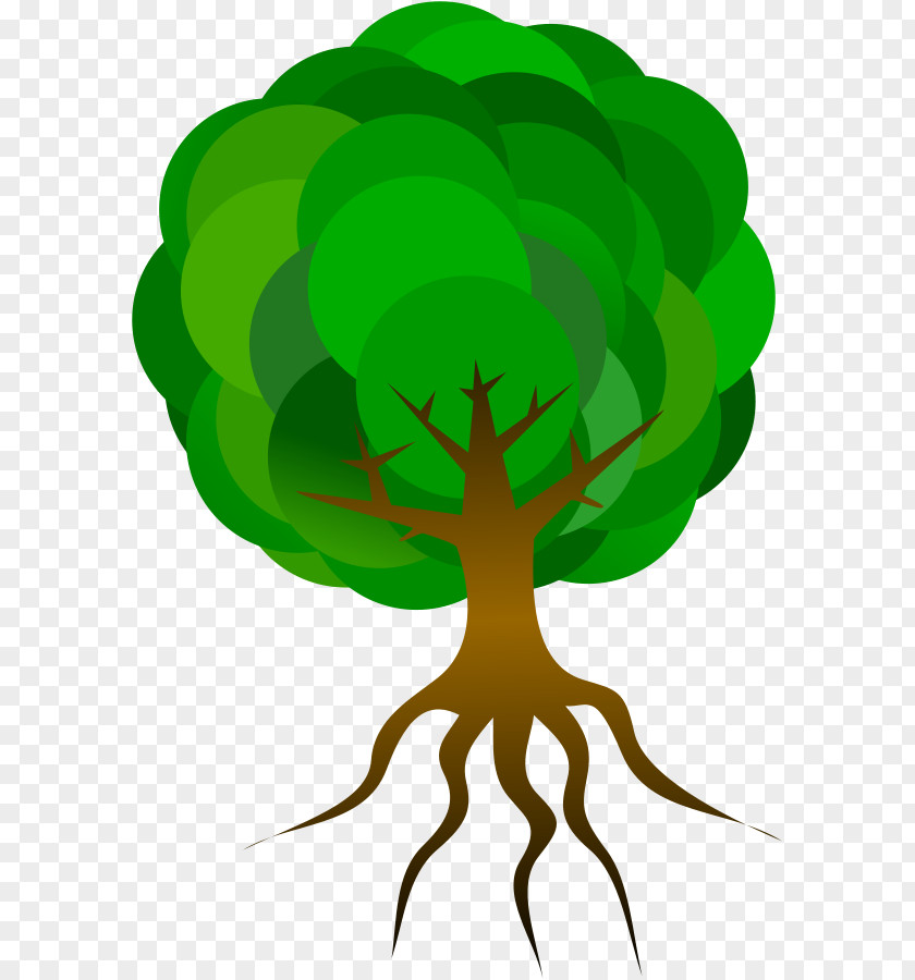 Free Tree Vector Art Root Clip PNG