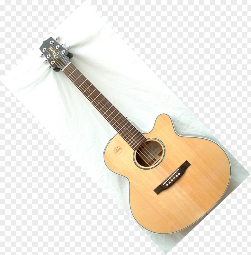 Instrumentos Musicales Acoustic Guitar Acoustic-electric Bass Tiple Cuatro PNG