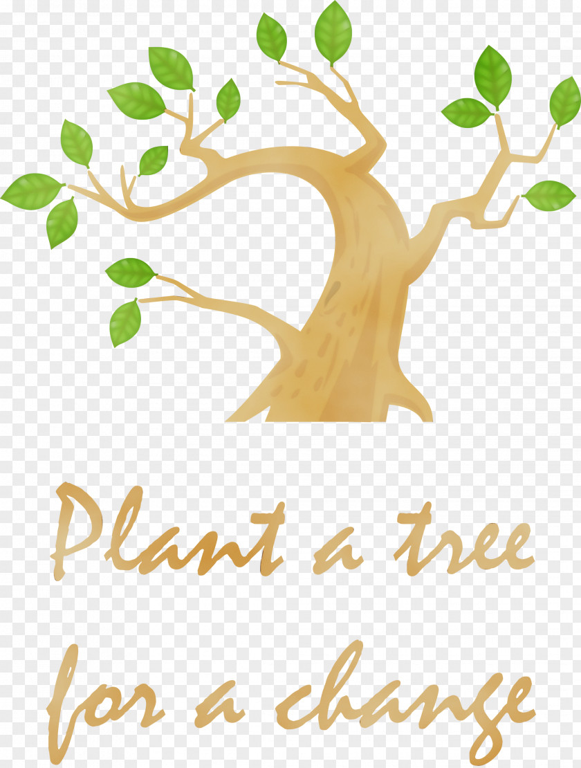 Tree Leaf Branch Plant Stem Woody PNG