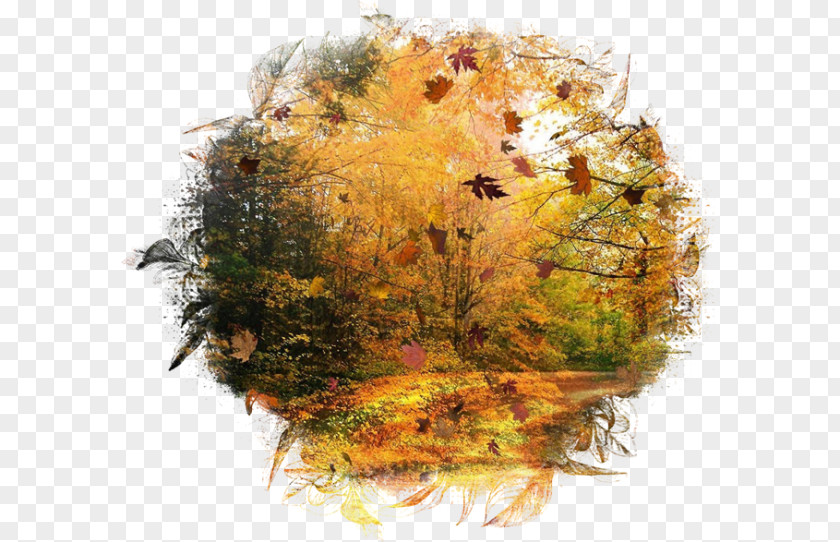 Autumn Landscape Painting Season Leaf PNG