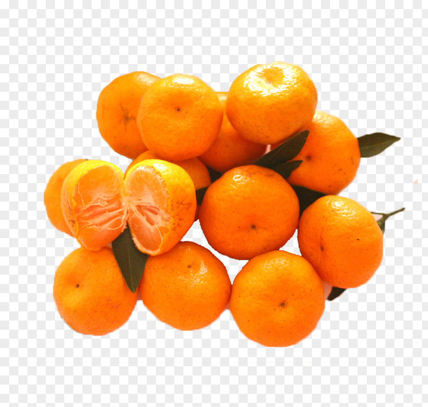 Sand Candy Picture Mandarin Orange Clementine China Tangerine Citrus Xd7 Sinensis PNG