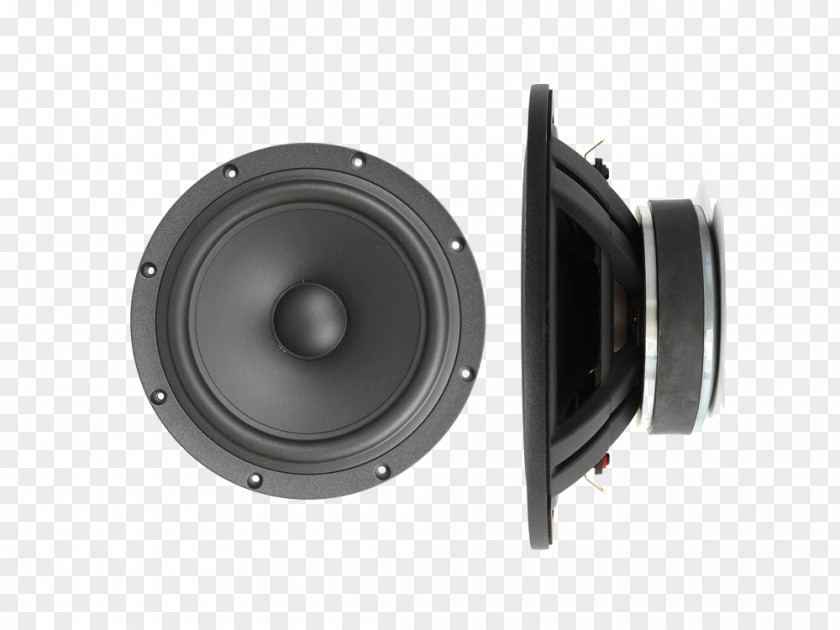 Stereo Rings Subwoofer Loudspeaker Acoustics Voice Coil PNG
