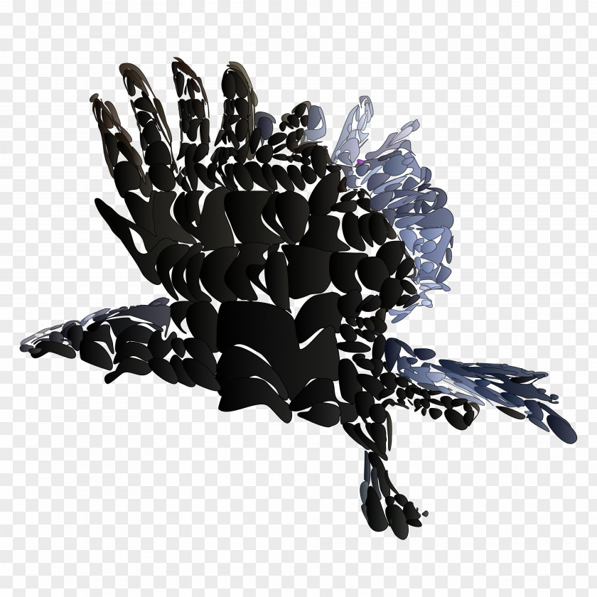 The Raven Common PNG