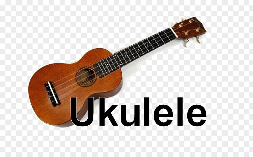 Bass Guitar Ukulele Tiple Acoustic PNG