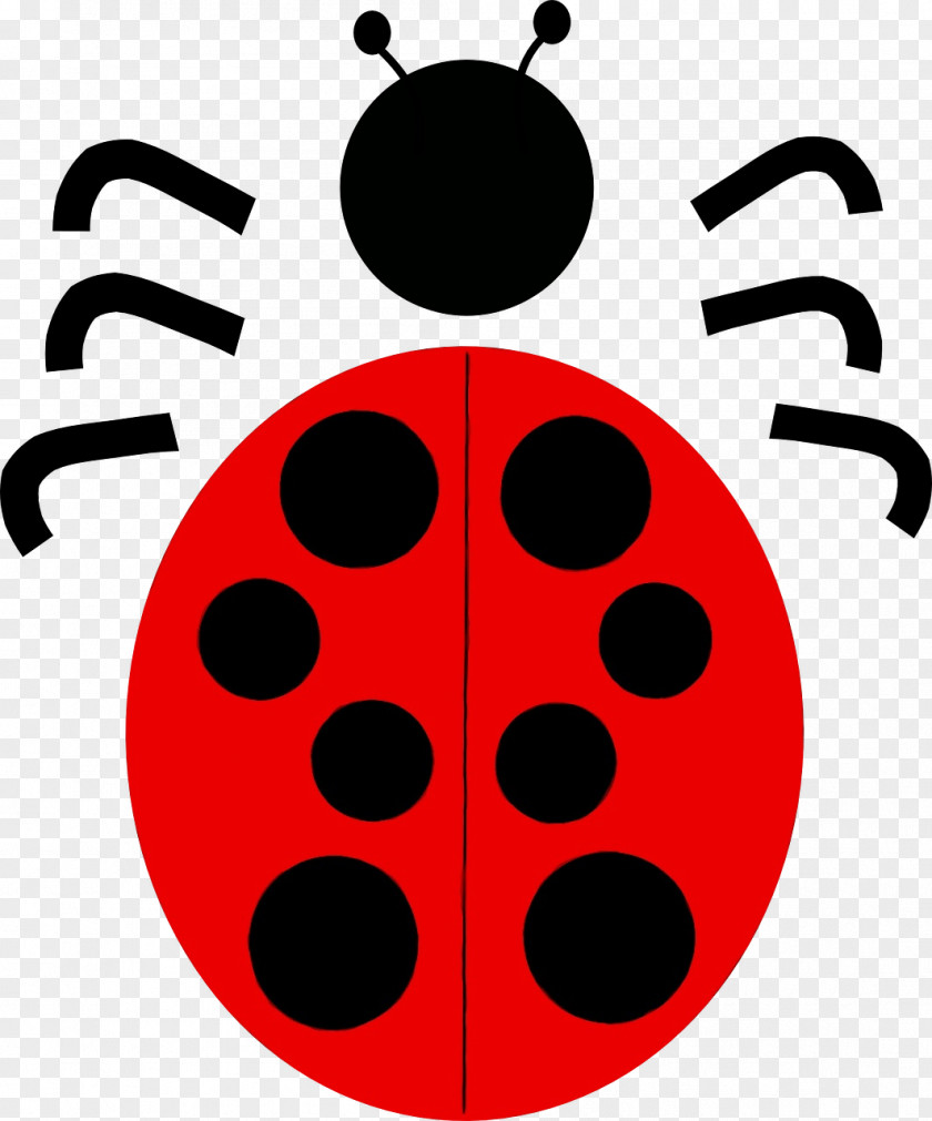 Ladybug Insect PNG