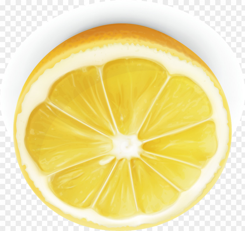 Lemon Vector Decorative Material Lemon-lime Drink Arts PNG